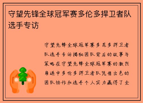 守望先锋全球冠军赛多伦多捍卫者队选手专访