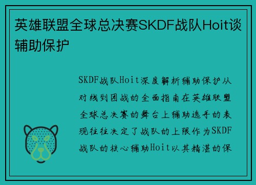 英雄联盟全球总决赛SKDF战队Hoit谈辅助保护